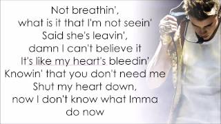 Justin Bieber  Flatline with Lyrics [upl. by Ilehs]