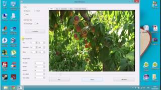 Fruit Detector  Computer Vision Software [upl. by Ahsinehs]