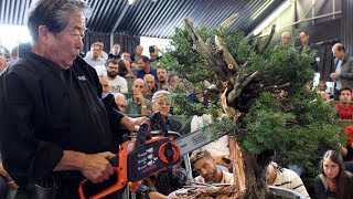 Kunio Kobayashi Bonsai demonstration [upl. by Gilman]