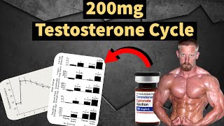 200mg Testosterone Cycle  Best Steroid Cycle  Muscle Gains  Side Effects  Doctors Analysis [upl. by Stegman132]