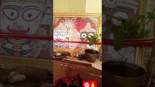 Dayana tulasi lagithauyoutubeshorts viralshort jagannath pujasankranri puja🌸🌸🙏 [upl. by Leahcimauhsoj]