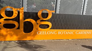 GBG  Geelong Botanic Gardens vlog [upl. by Haelak621]