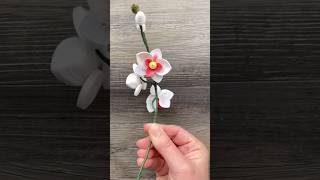 Orchids that can last forever quilling [upl. by Svend296]