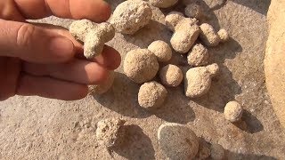 Trovants las rocas que crecen en Rumanía [upl. by Wallraff]