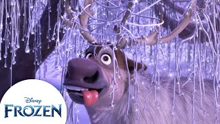 Svens Silliest Moments  Frozen [upl. by Edie]