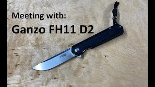 GANZO FH11 D2 steel ball bearing flipper folding knife G10 with steel core linerlock [upl. by Rutter998]