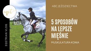 5 sposobów na lepsze mięśnie u konia [upl. by Noivart]