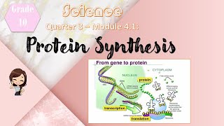 Science 10 ǀ Q3 Protein Synthesis ǀ Taglish [upl. by Ahsemik]