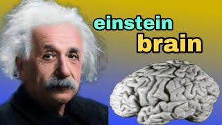 albert einstein brain history  einstein brain story  albert einstein [upl. by Sylvie]