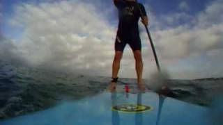 Paddle Board Surfing [upl. by Hillari]