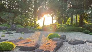 【島根県浜田市の風景】大麻山神社庭園奥から見える朝陽 2024年8月11日 [upl. by Ralli754]