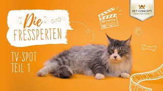 TV Spot 2023  Die Fressperten 1  VetConcept [upl. by Oina]