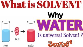 What is solvent Why Water is universal solvent Types of solvent states Solvent classifications [upl. by Tallbott43]