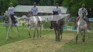 Journée du cheval  Braine lAlleud 2017 [upl. by Ahkihs]