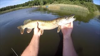 Pêche du brochet  Le coup du soir à létang du Stock [upl. by Shreeves]