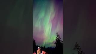 Northern lights over Coquitlam BC [upl. by Nellda993]