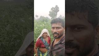 మా రైతుల కష్టాలుagriculture farmingvegetablesplantsrithuబbenda crop [upl. by Chane890]