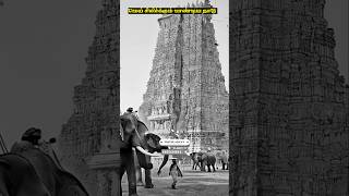 Ai Generated Madurai meenakshi Amman Temple  Madurai [upl. by Aivalf852]