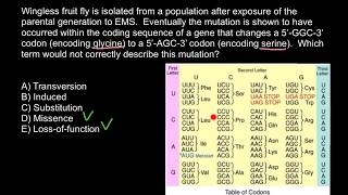 Transversion mutations vs transition mutations [upl. by Inal773]