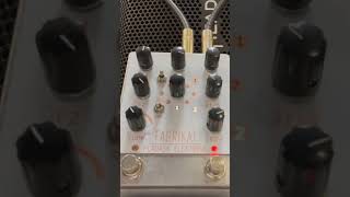 Pladask Elektrisk Fabrikat delay pedal with Agile Legacy 627 baritone guitar sad riff [upl. by Agueda125]