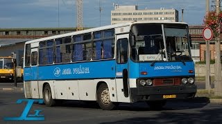 Ikarus 256  BRF820  Kisrábás  Agria Volán hangfelvétel  audio [upl. by Koss575]