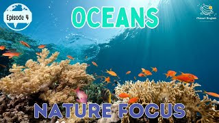 Oceans  Nature Focus for Kindergarten  EYFS  Episode 4 [upl. by Devona936]