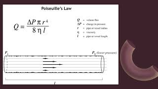 Poiseuilles law [upl. by Aicia]