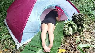 sleeping in tent pick bamboo stick and man cut banana plants forest [upl. by Adnac]