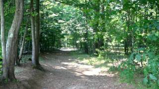 Bowdoin CrossCountry [upl. by Atteuqehs]