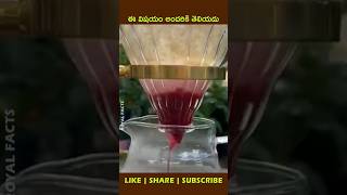 Armenian cochinealytshorts factsintelugu viralvideo shortsvideo [upl. by Carey]