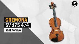 Violino Cremona SV 175 44  Egitanapt [upl. by Ainez]