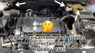 Como revisar todos los niveles del auto correctamente rápido y fácil 🤔 fluidosaceite y anticong [upl. by Kloman]