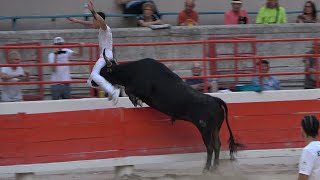 BEAUCAIRE28062024Course CamarguaiseAvenir [upl. by Kathrine695]