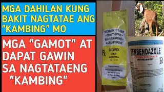 GAMOT SA NAGTATAE NA KAMBING [upl. by Zebedee]