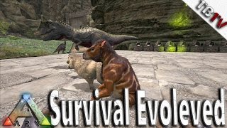 Ark Survival Evolved  BABIES FOR DAYS  Chalicotherium Breeding  Ark Survival S3E14  TagBackTV [upl. by Karolina]