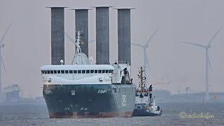 7 BFT Einlauf EShip 1 amp tug Rotorschiff Flettner rotorsails Eship DGFN2 IMO 9417141 Emden [upl. by Reivazx]