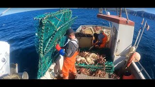 Red King Crab Bonanza 15 000 In One Hour On Small Boat  King Crab Fishing in Northern Norway [upl. by Sawtelle649]