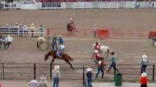 Cheyenne rodeo Wild horse race [upl. by Ettelorahc]