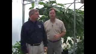 Hydroponics  Nutrient Considerations [upl. by Ankney]