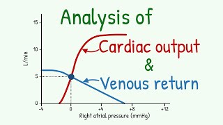 Analysis of Cardiac Output Curve and Venous Return Curves [upl. by Koslo]