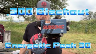 The Perfect Sound 300 Blackout Suppressed [upl. by Deraj487]