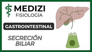 Clase 51 Fisiología Gastrointestinal  Secreción Biliar IGdoctorpaiva [upl. by Helaine146]