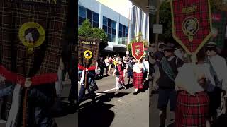 Tartan Day Townsville 2024 [upl. by Lichter]