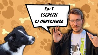 ESERCIZI DI OBBEDIENZA Ep1 [upl. by Mcgill]