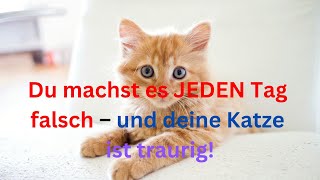 Du machst es JEDEN Tag falsch – und deine Katze ist traurig [upl. by Blockus]