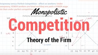 Monopolistic Competition [upl. by Dnalyram]