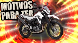 Motivos para Ter XT660R  BielaTurbo [upl. by Darell47]