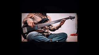 Racer X  Technical Difficulties Bass Cover beginnerbassist stilllearning keeppracticing [upl. by Aloysia]