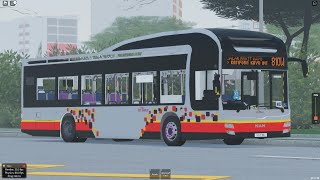 RBST svc 810W Route visuals [upl. by Levon]