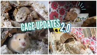 Hamster Cage Updates 20 [upl. by Atsiuqal]